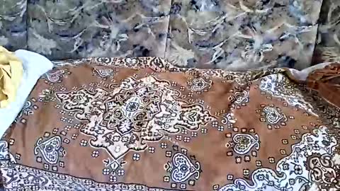 Snapshot of marian20242025 chatting on 11.01.25 marian20242025 online show from 11.01.25