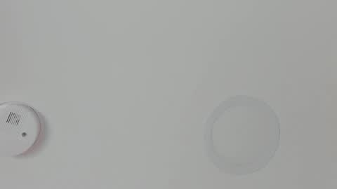 Snapshot of mariapettit chatting on 02.18.26 Maria Pettit online show from 02.18.26