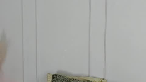 Maria Pettit online show from 04.19.26