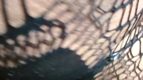 marielahorny303av online show from 12.21.25