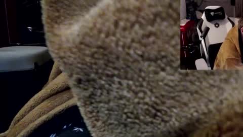 markass87 online show from 04.04.26