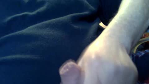 marko_th online show from 02.08.26