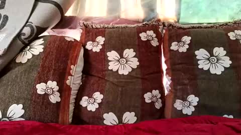 marocreda33 online show from 02.10.25