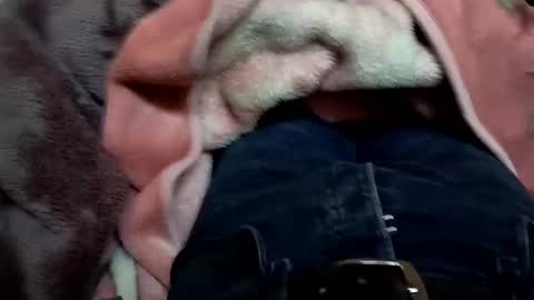 marocreda33 online show from 03.11.25