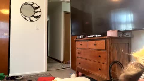 Snapshot of maroon_moon chatting on 02.14.25 maroon_moon online show from 02.14.25