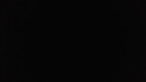 marsupilami_82_ online show from 10.21.25