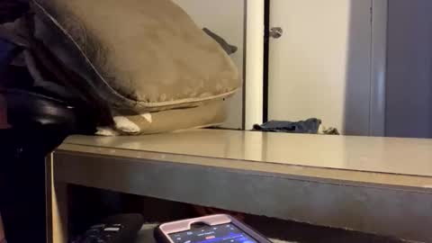 Snapshot of martasub chatting on 12.15.25 martasub online show from 12.15.25