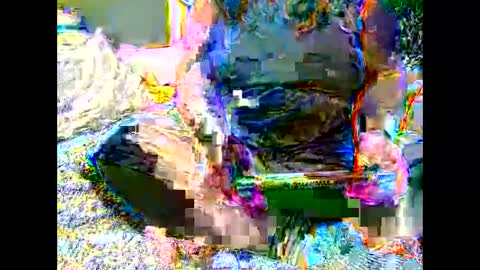 Snapshot of marthabriest chatting on 11.06.25 Martha online show from 11.06.25