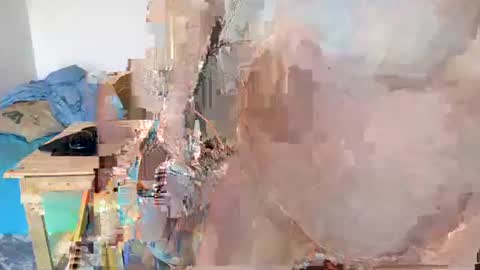 Moose online show from 01.21.25