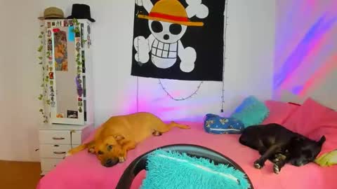 mary online show from 04.18.26