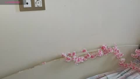 Hi Im Olivia Im new here3 online show from 05.10.26