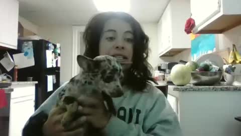 Mastress Luna online show from 11.21.25