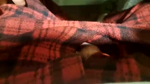 mattca80 online show from 04.20.26