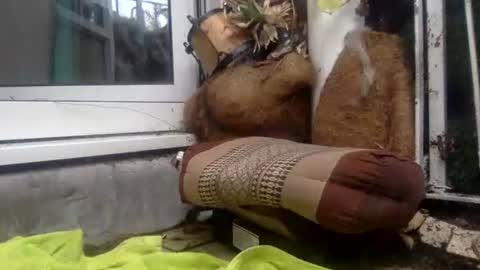 matureman1234 online show from 10.29.25