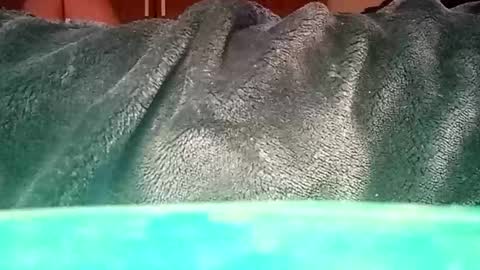 Snapshot of mauriciano2018 chatting on 01.12.25 Ignacio online show from 01.12.25