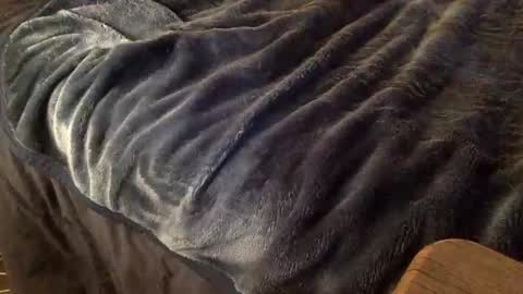 Snapshot of mauriciano2018 chatting on 10.09.25 Ignacio online show from 10.09.25