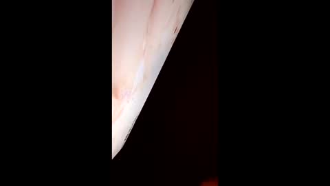 Snapshot of mausaa1199 chatting on 03.31.26 mausaa1199 online show from 03.31.26