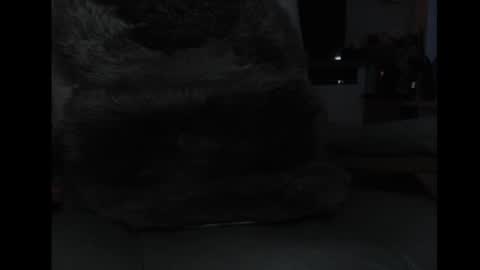 mav1962 online show from 04.05.26