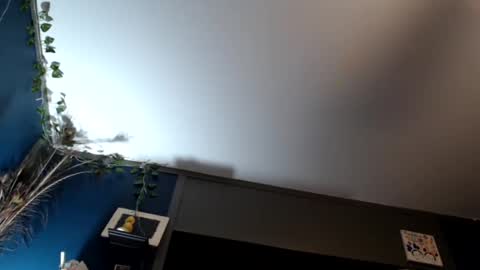 Snapshot of maxwellandpam chatting on 02.16.25 Max and Pam Voyeur Cam online show from 02.16.25