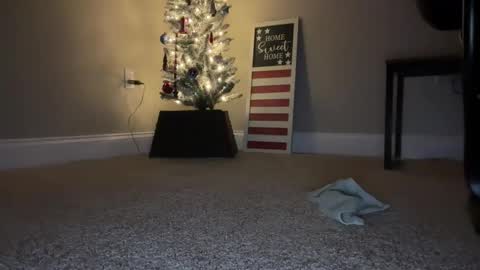 maxx276828 online show from 11.22.25