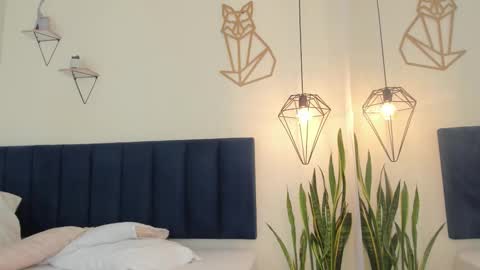 SOFIA online show from 12.01.25