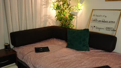 Snapshot of mbca chatting on 01.22.25 Anna IG mbca anna online show from 01.22.25