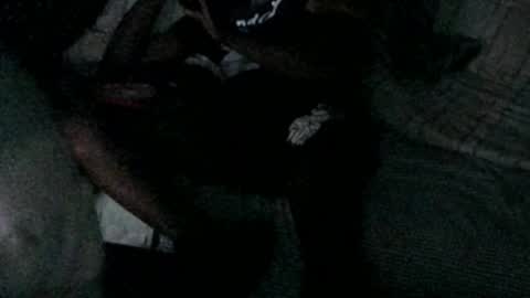 mdd2log online show from 03.20.26