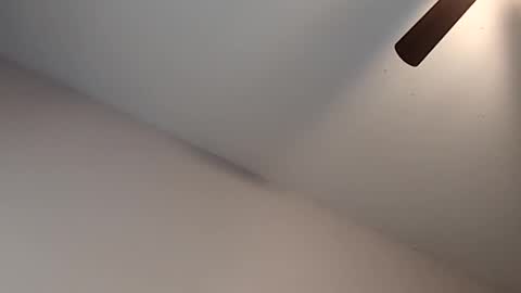 Jizzy online show from 02.13.26