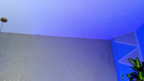 Medusa Ts online show from 11.23.25