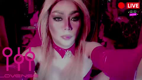 THE QUEEN ALPHA   Queen Medusa Prey online show from 04.11.26