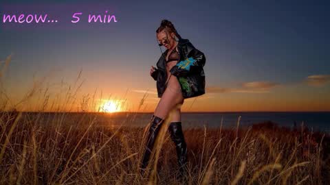 Sweet Meow nonude online show from 10.31.25