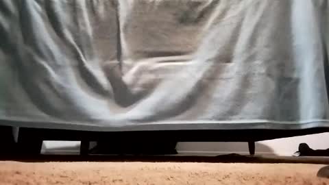 Snapshot of megacock420420 chatting on 12.10.24 megacock420420 online show from 12.10.24