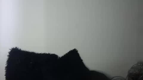 Megan and sophi online show from 09.19.25