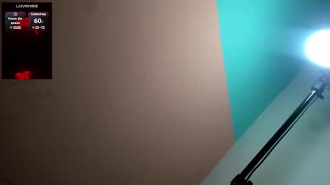 Snapshot of megan_kis9 chatting on 12.12.24 megan online show from 12.12.24