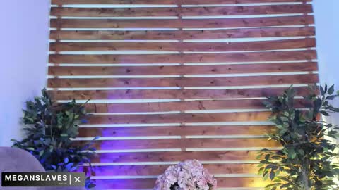 Snapshot of megan_raiin chatting on 11.18.25 megan_raiin online show from 11.18.25