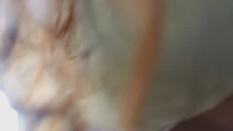 Megan online show from 02.18.26