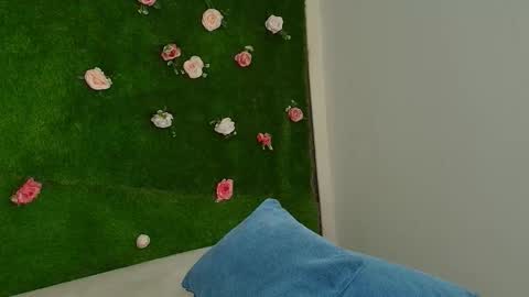 megatitts_ online show from 01.15.26