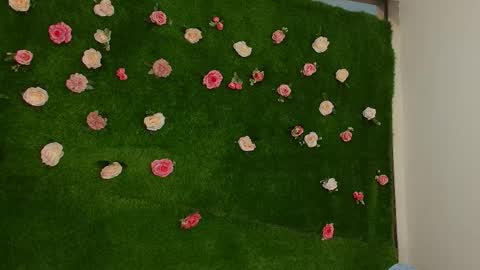 megatitts_ online show from 04.01.26