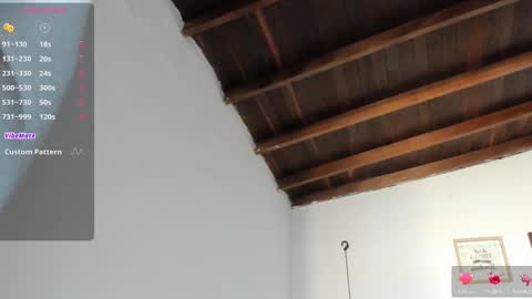 Snapshot of meghan_taylor__ chatting on 01.20.25 Meghan online show from 01.20.25