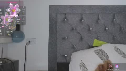 Meghan  online show from 02.24.26