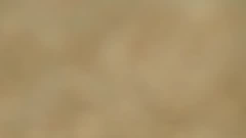 Snapshot of melania_browis chatting on 01.15.25 Melania online show from 01.15.25