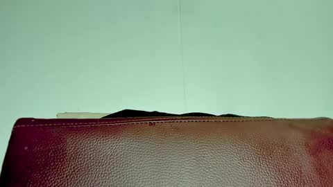 Snapshot of melania_browis chatting on 11.06.25 Melania online show from 11.06.25