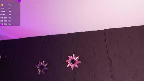 Melissa online show from 01.11.26