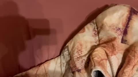 melissa9040 online show from 02.09.26