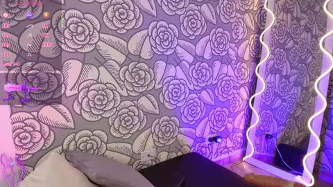 Snapshot of mellani_tay chatting on 01.27.25 Mellani online show from 01.27.25