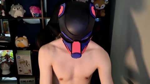 MellPUP online show from 05.30.26