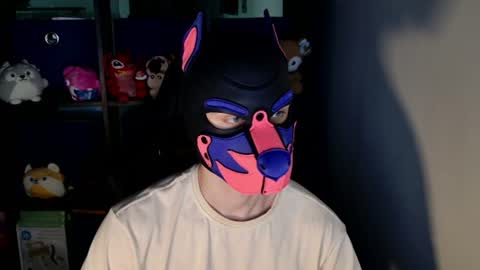 MellPUP online show from 06.16.26