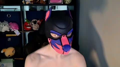 MellPUP online show from 06.20.26