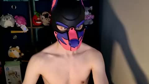 MellPUP online show from 06.24.26