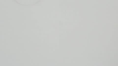 MELODY online show from 01.26.25